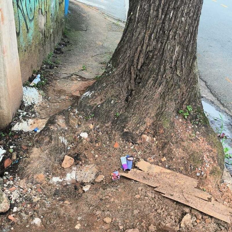 Imagem da publicação