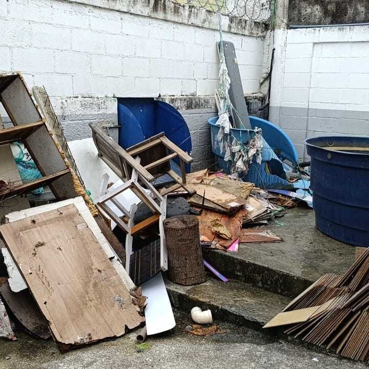 Imagem da publicação