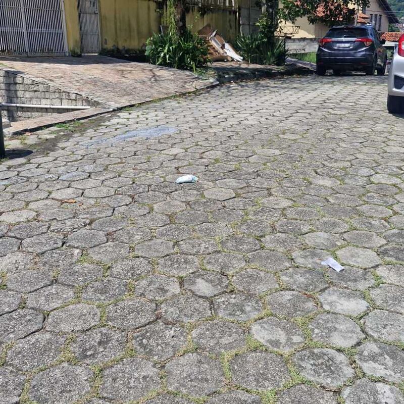 Imagem da publicação