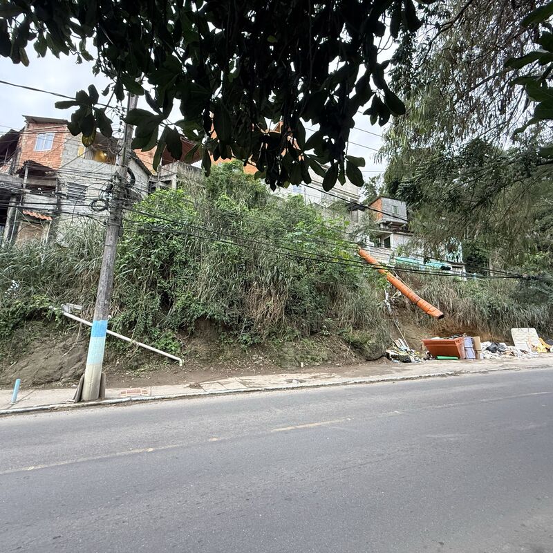 Imagem da publicação