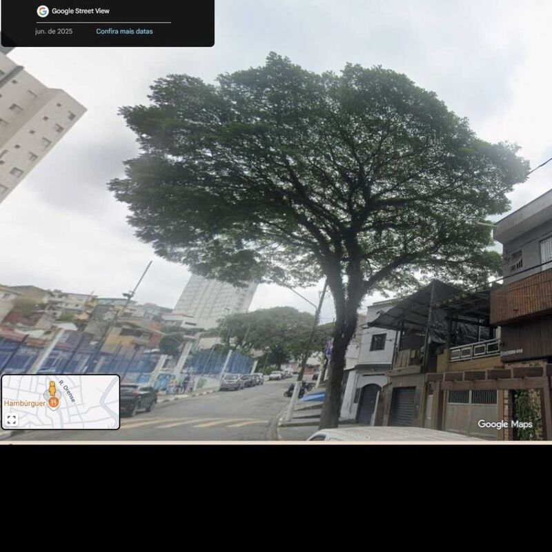 Imagem da publicação