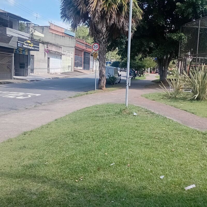 Imagem da publicação