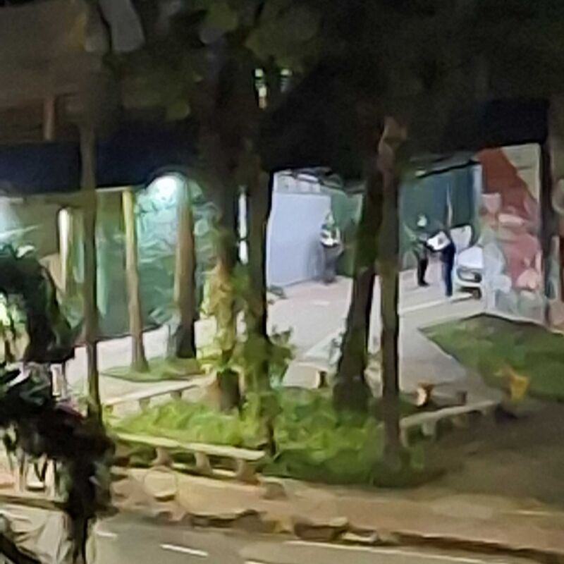 Imagem da publicação