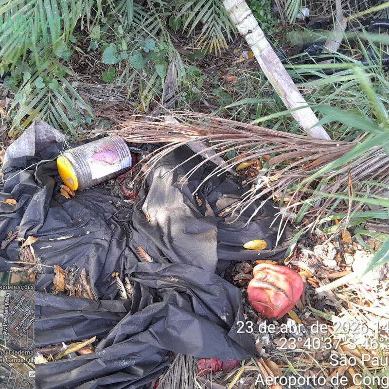 Imagem da publicação