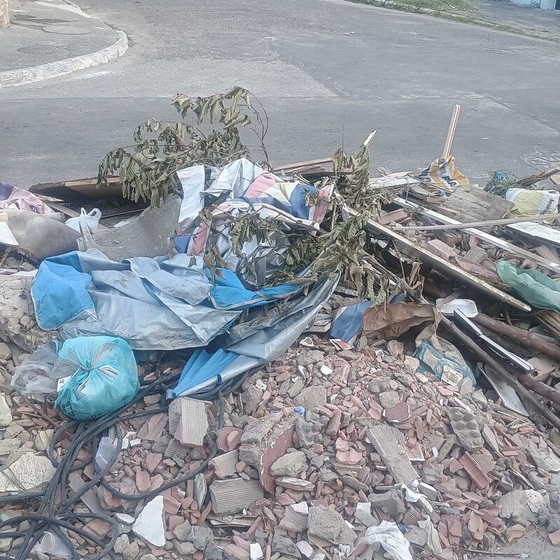 Imagem da publicação