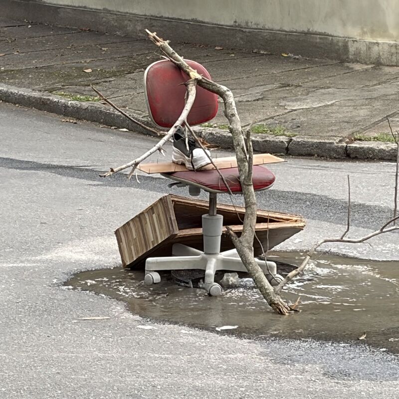 Imagem da publicação