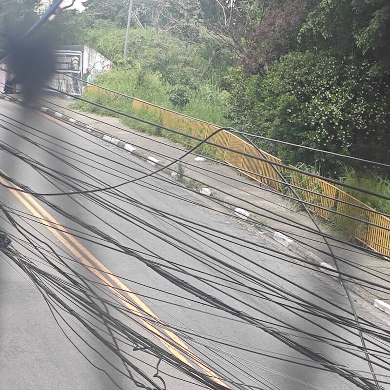 Imagem da publicação