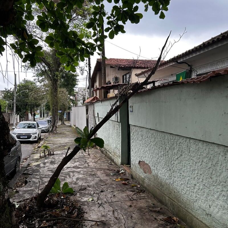 Imagem da publicação