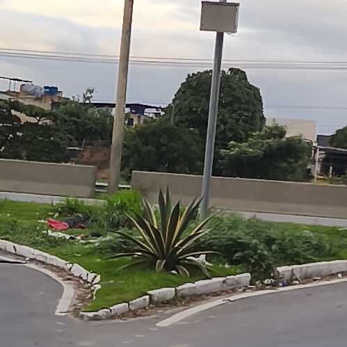 Imagem da publicação
