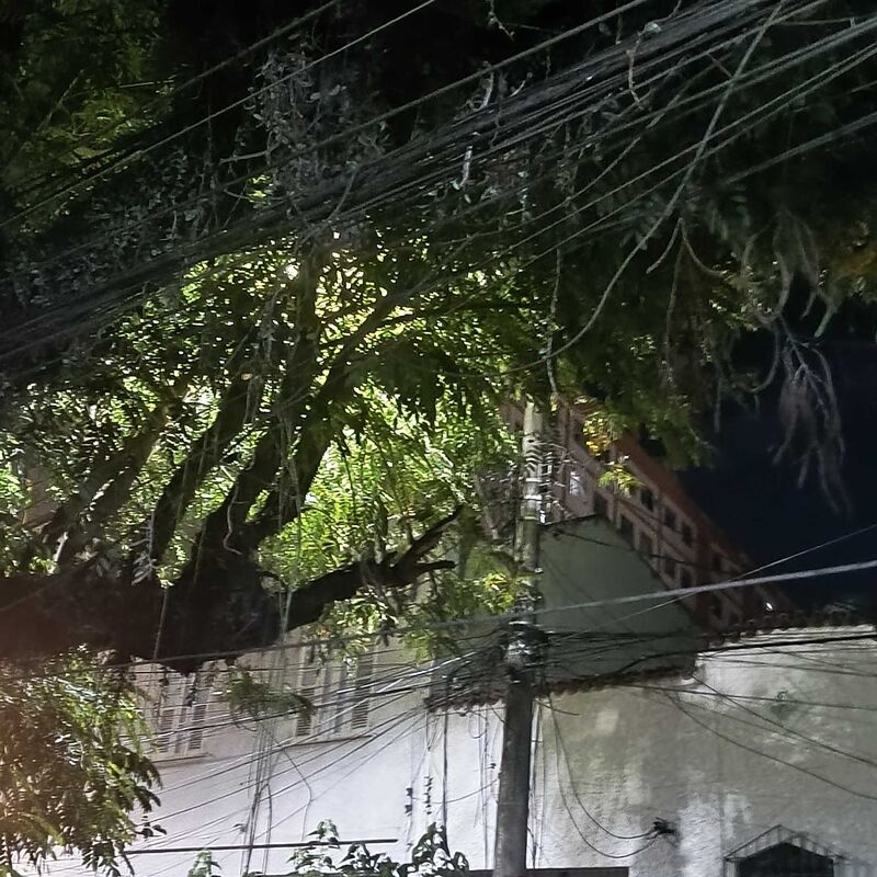 Imagem da publicação