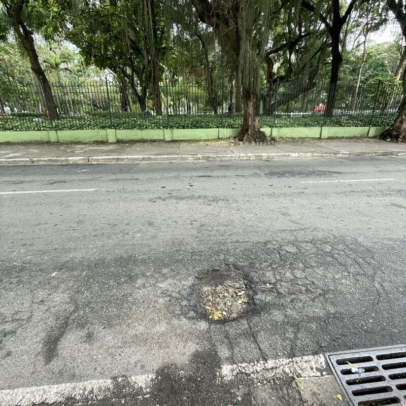 Imagem da publicação