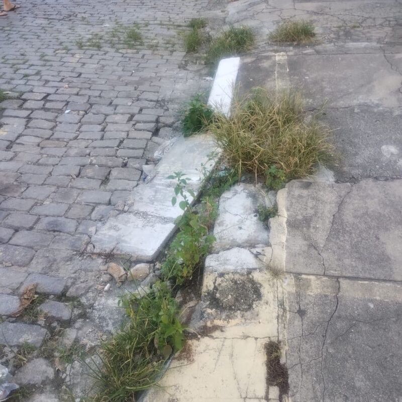 Imagem da publicação