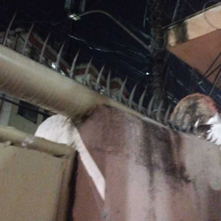 Imagem da publicação