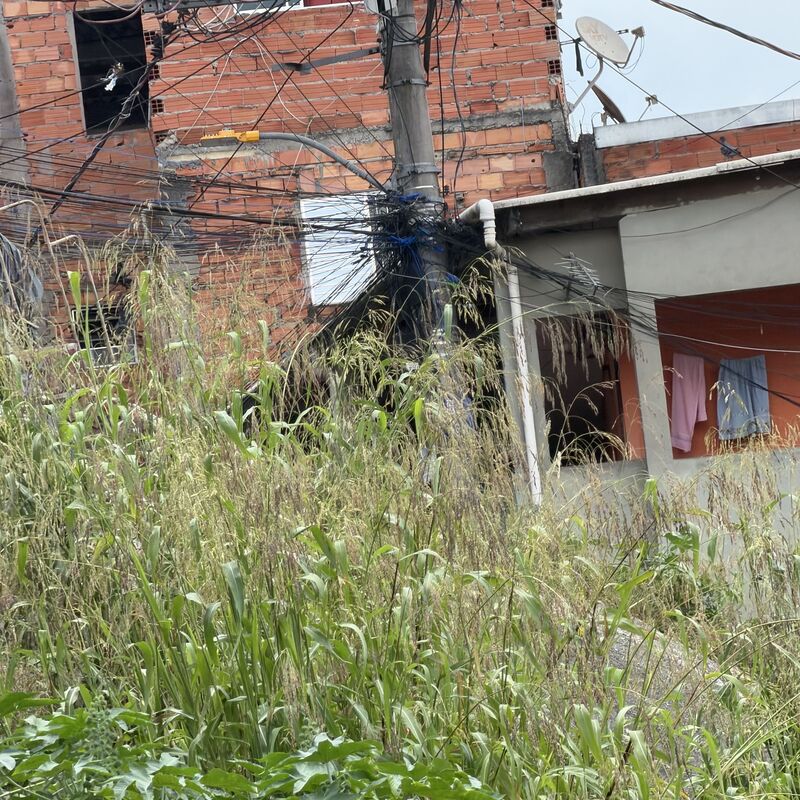 Imagem da publicação