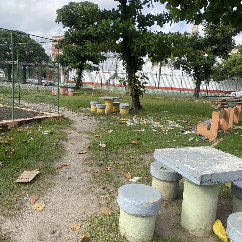 Imagem da publicação