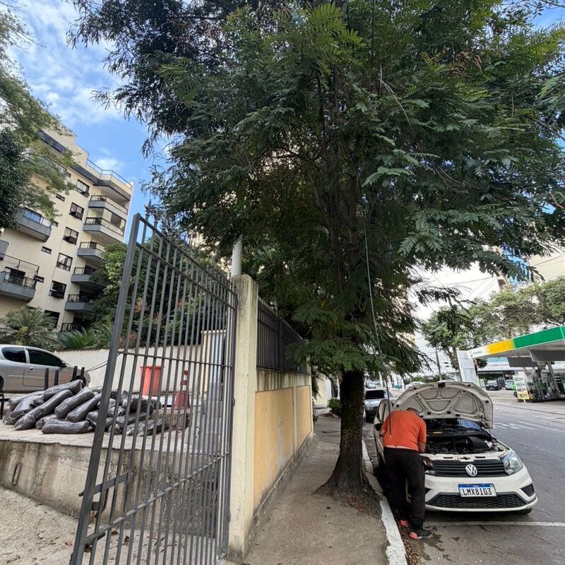 Imagem da publicação