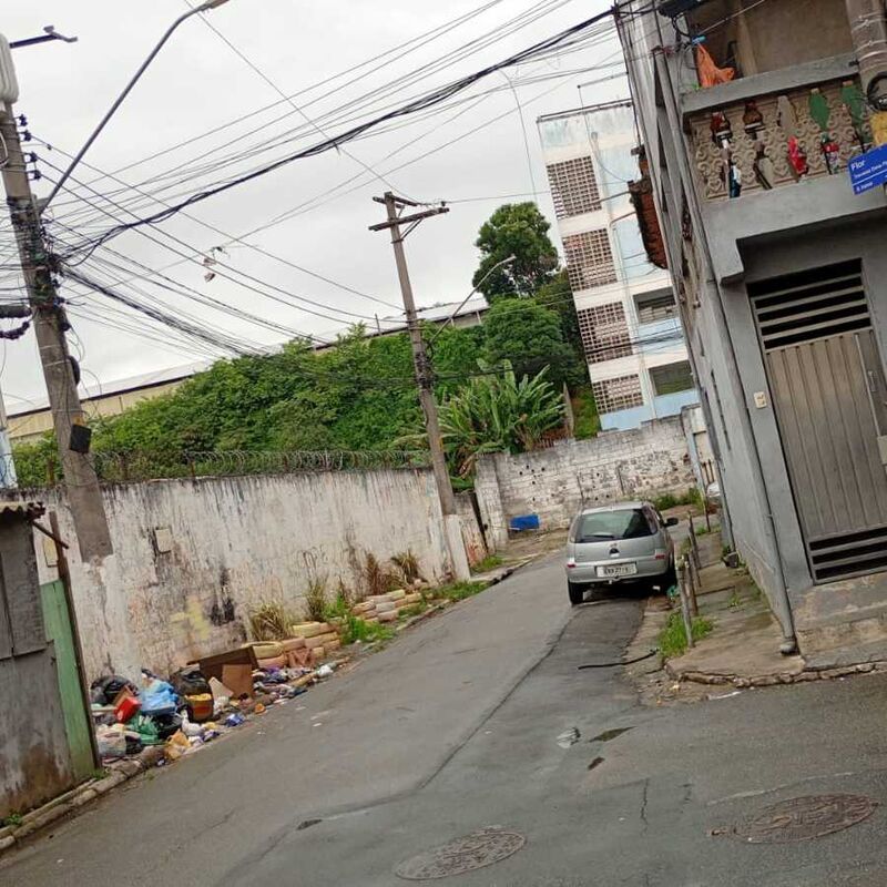 Imagem da publicação