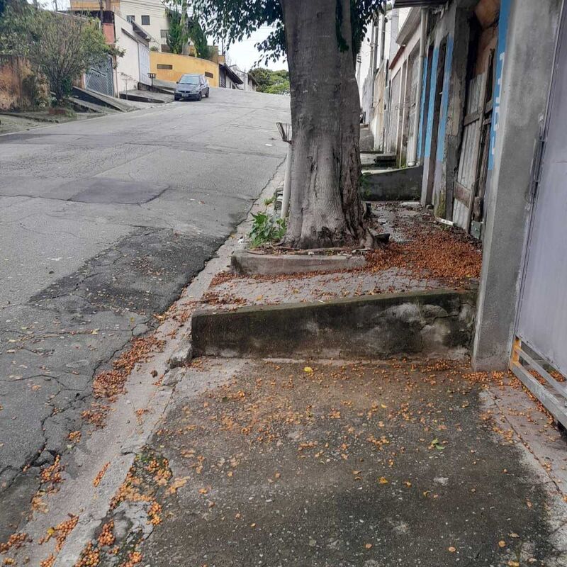 Imagem da publicação