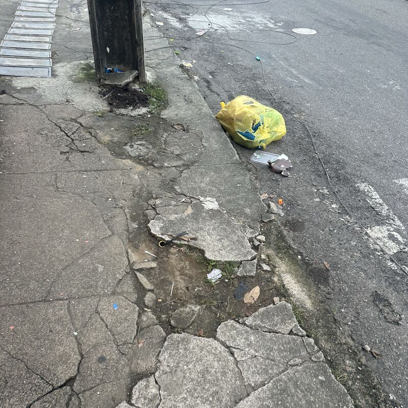 Imagem da publicação