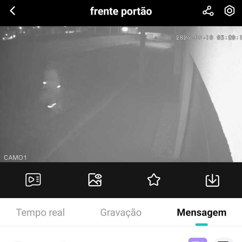 Imagem da publicação