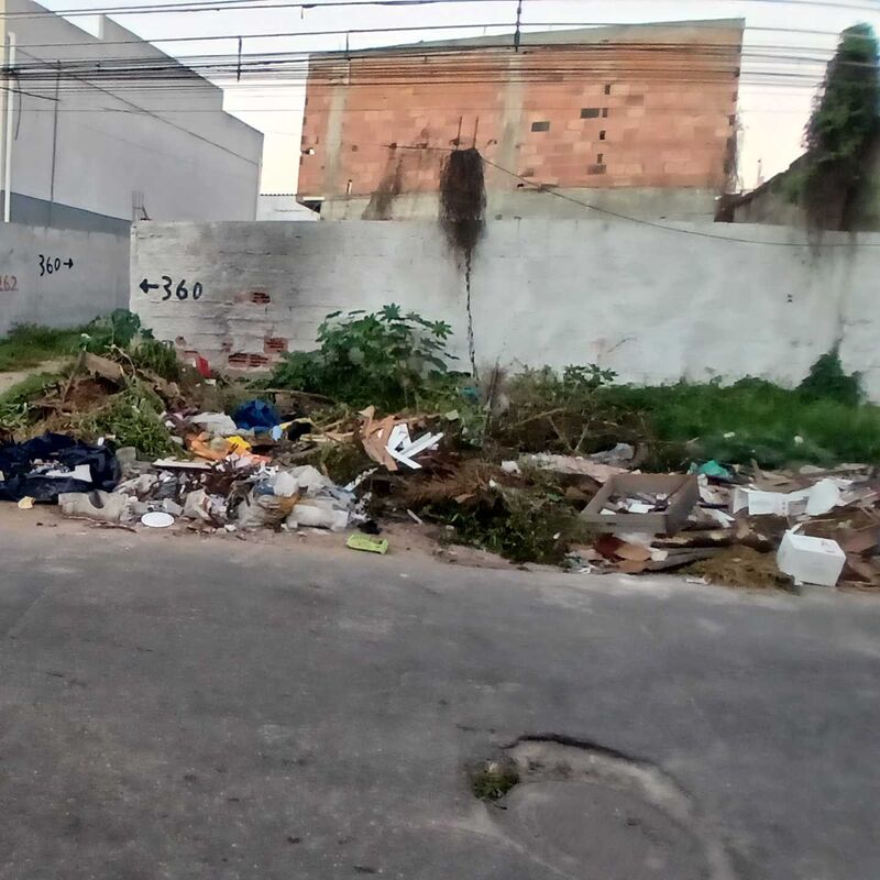 Imagem da publicação