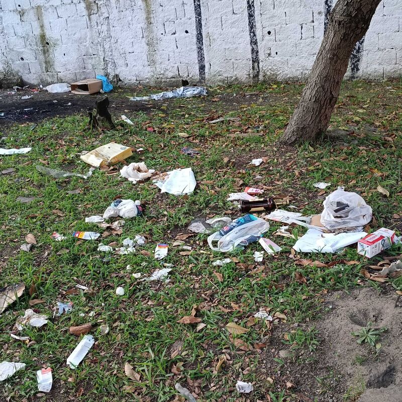 Imagem da publicação