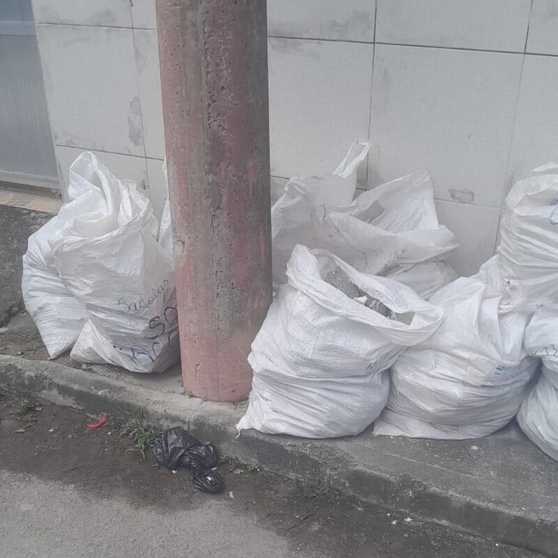 Imagem da publicação