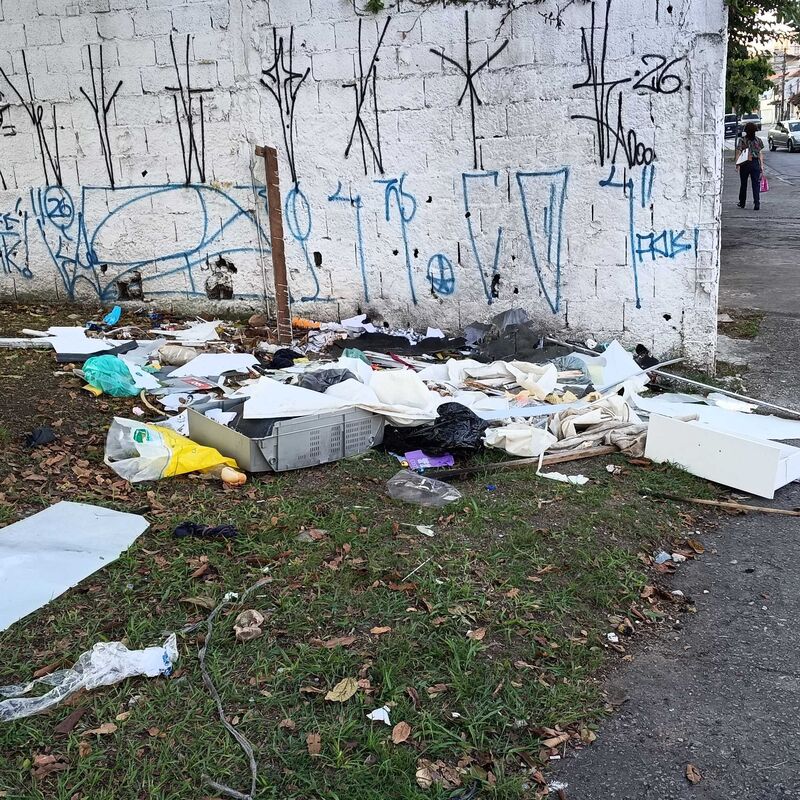 Imagem da publicação