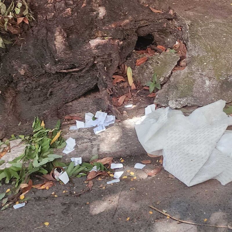 Imagem da publicação