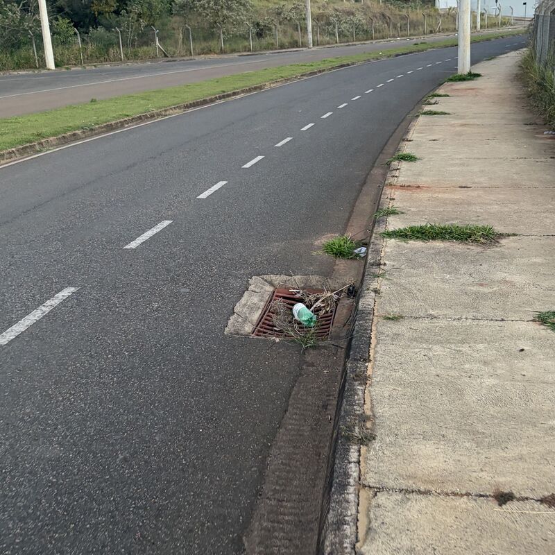 Imagem da publicação