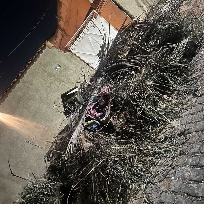 Imagem da publicação
