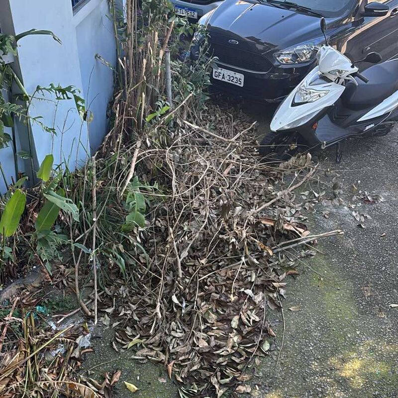 Imagem da publicação