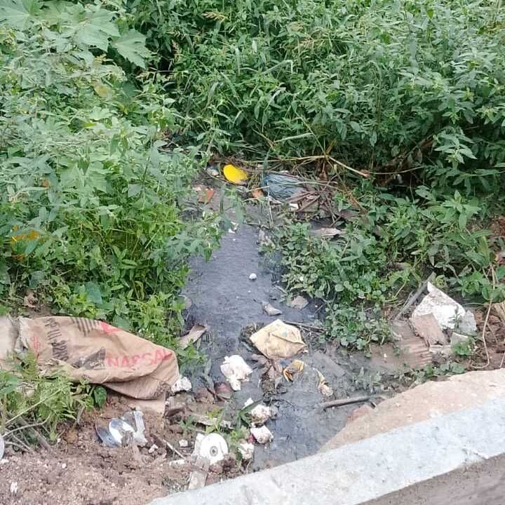 Imagem da publicação