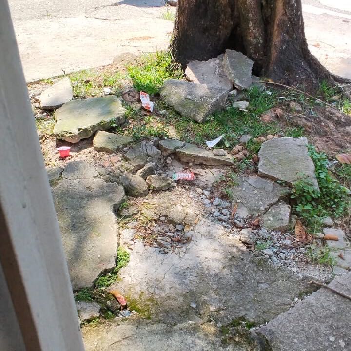 Imagem da publicação