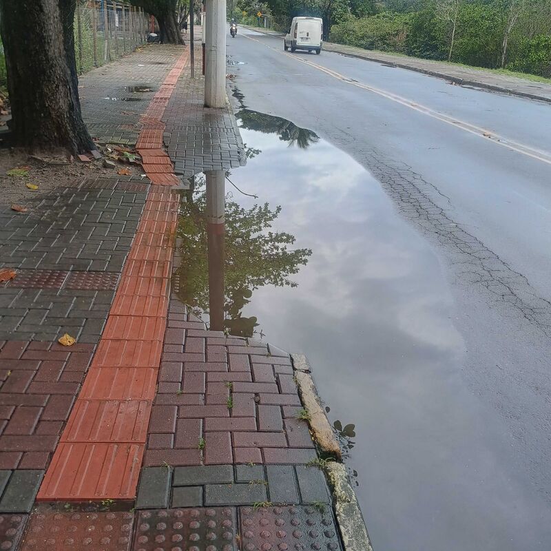 Imagem da publicação