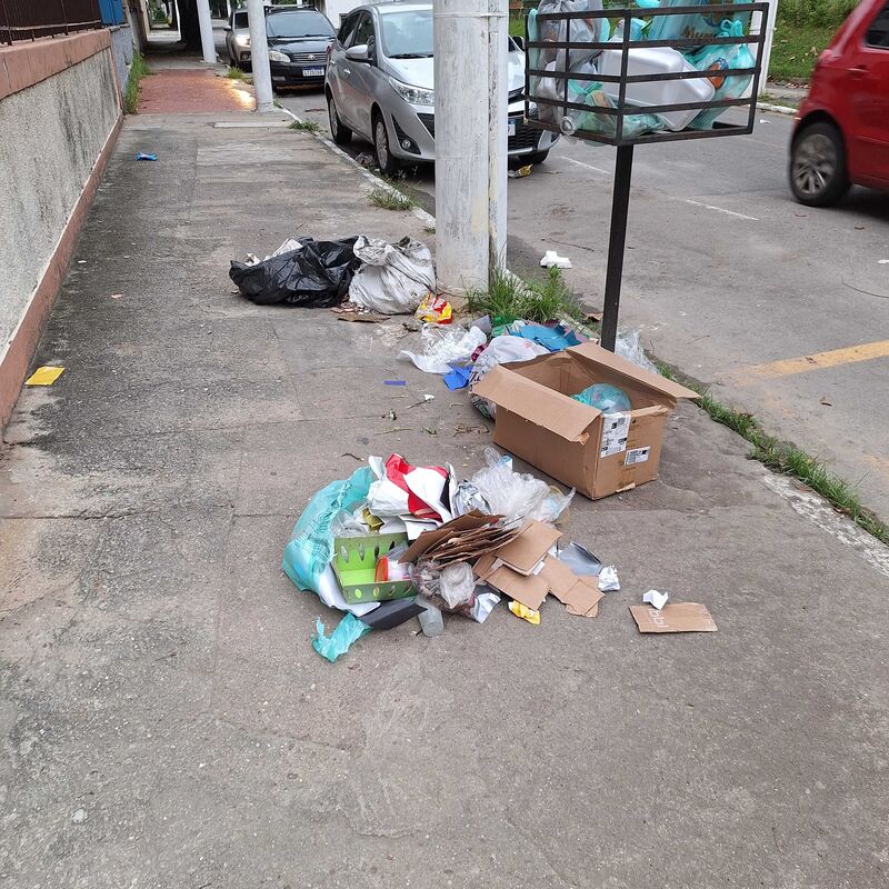 Imagem da publicação