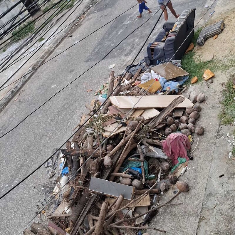 Imagem da publicação