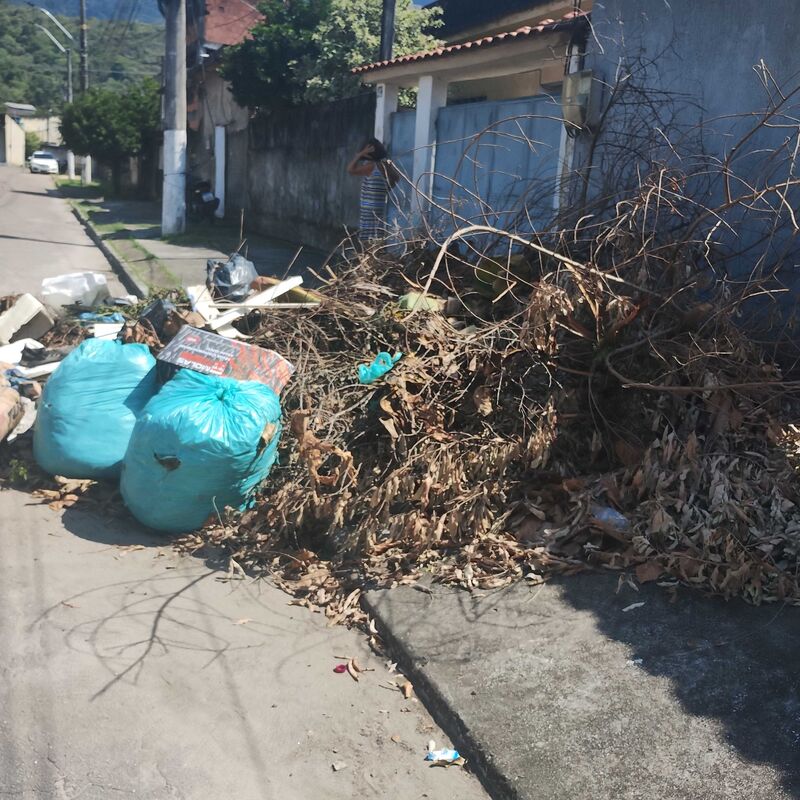 Imagem da publicação