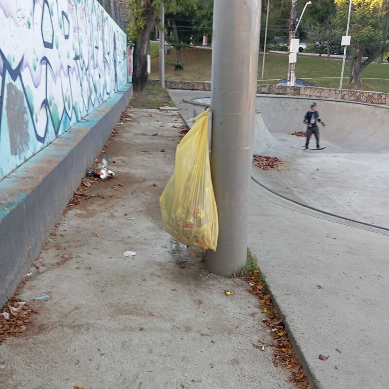 Imagem da publicação