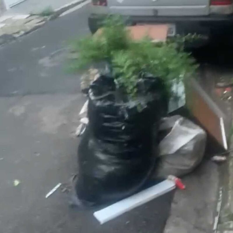 Imagem da publicação