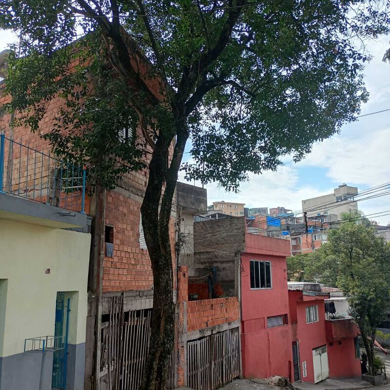 Imagem da publicação