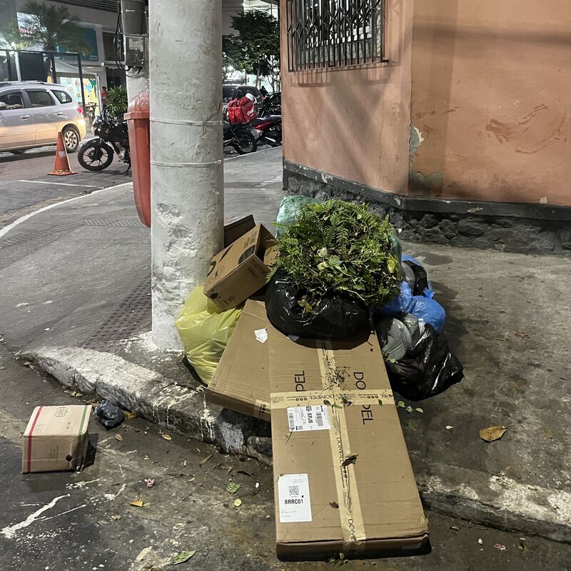 Imagem da publicação