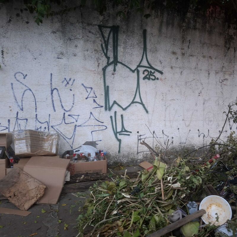 Imagem da publicação