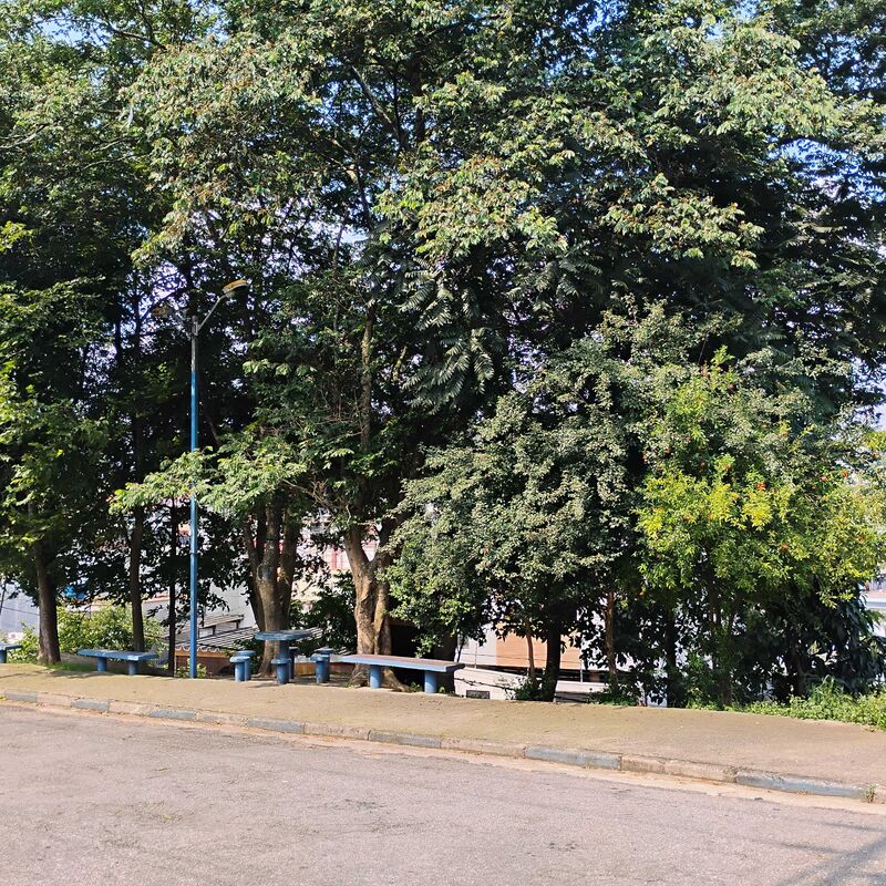 Imagem da publicação