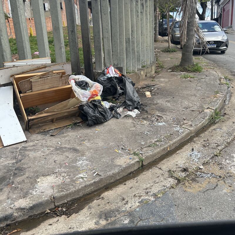 Imagem da publicação