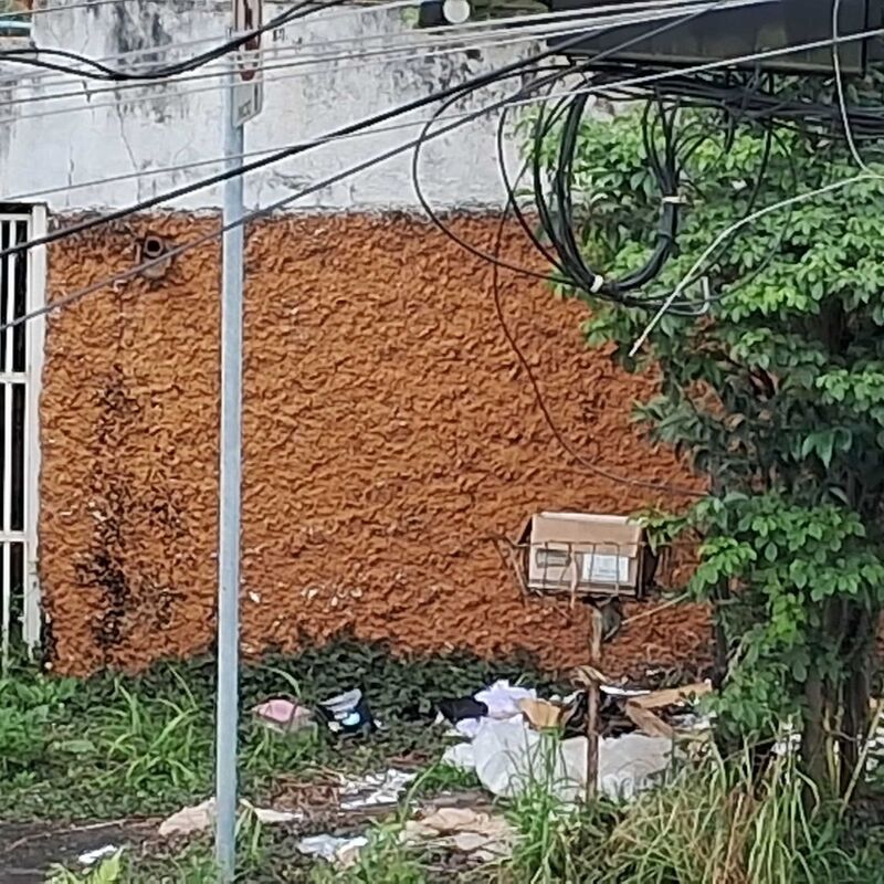 Imagem da publicação