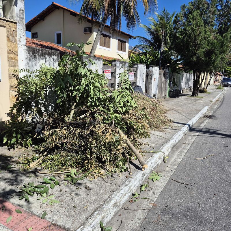 Imagem da publicação