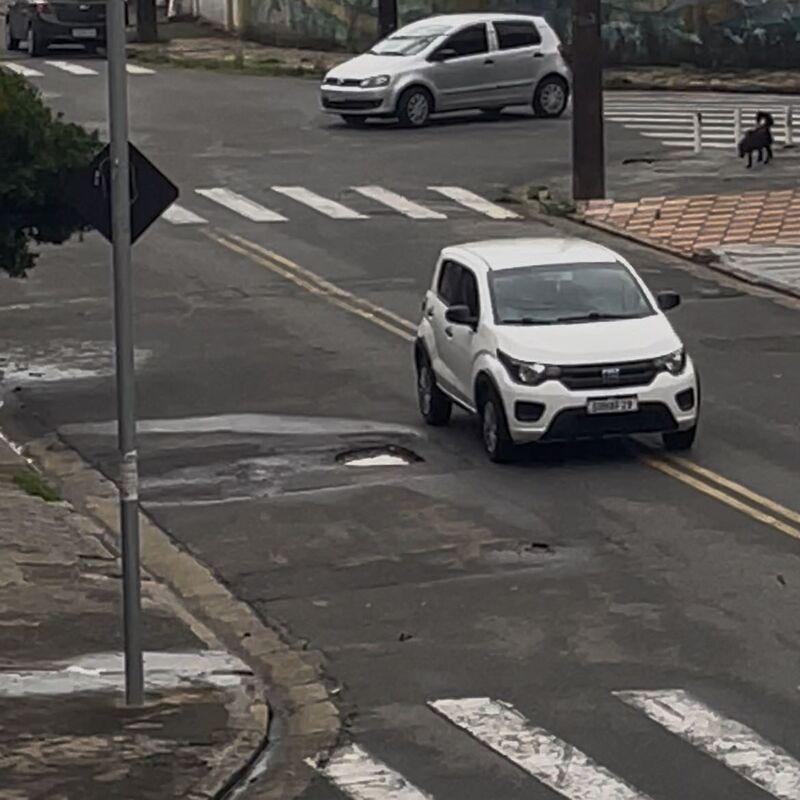 Imagem da publicação