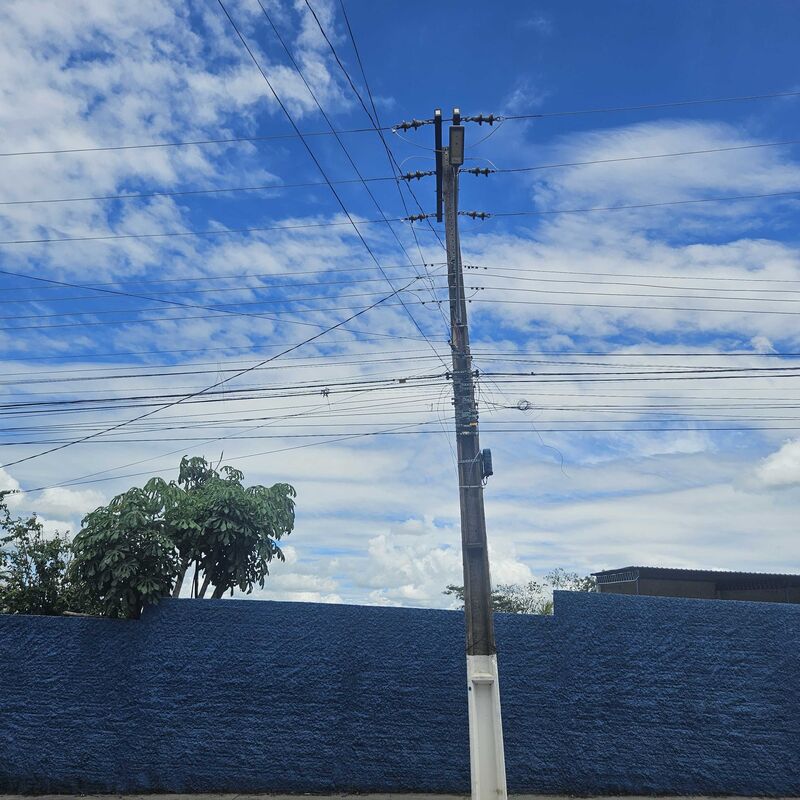 Imagem da publicação