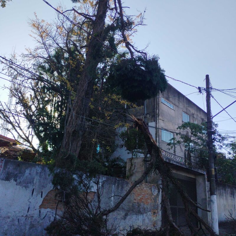 Imagem da publicação
